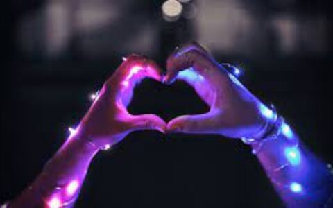 多利安数字营销深圳有限公司