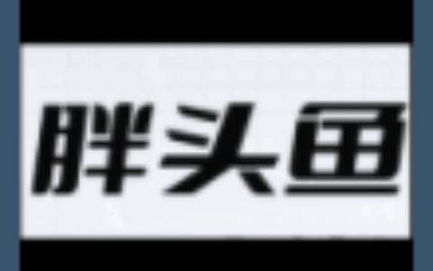 广州胖头鱼网络科技有眼公司