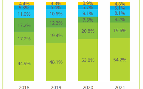 2022年，中轻度游戏出海路在何方？