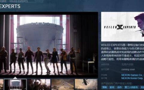 《VEILED EXPERTS》B测下载预约配置详解免费加速器推荐