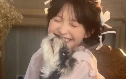 辽宁多趣互娱科技有限公司