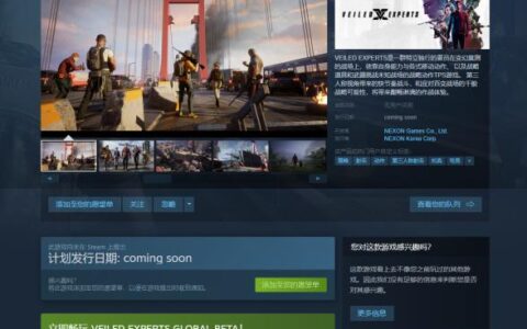 VEILED EXPERTS 新手必看教程：中文设置/流畅联机加速器推荐