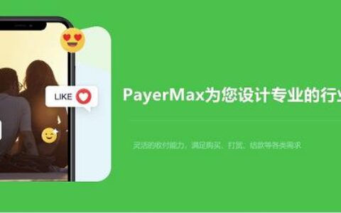 PayerMax深耕本地提供一站式支付，成为新兴市场护航员