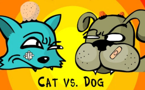 猫猫流浪模拟器《Stray》火了，萌宠类游戏大盘点，腾讯也入局