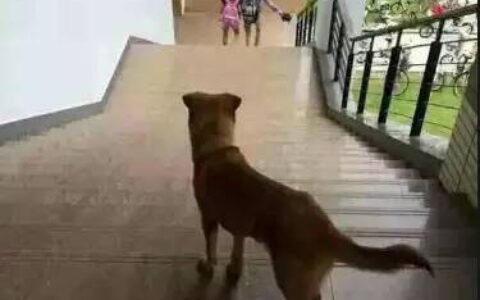 标杆未来科技（深圳）有限公司