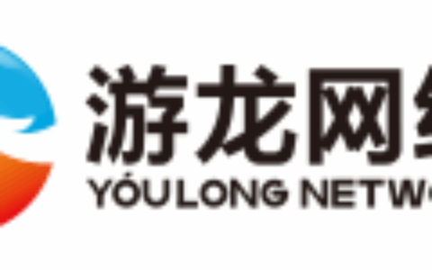 福建游龙网络有限公司