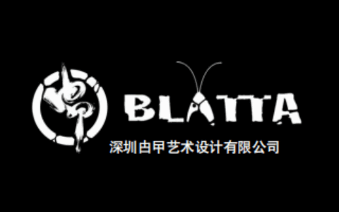 深圳甴曱艺术设计有限公司