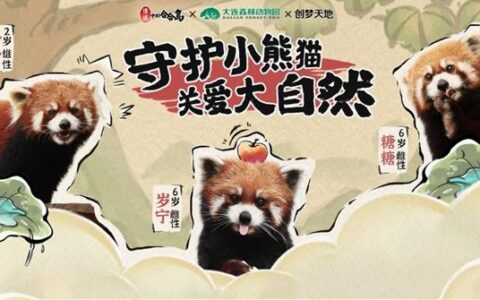 《传说中的合合岛》认养濒危小熊猫，用游戏传播公益正能量