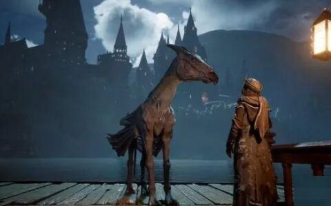 ​差不多得了！动保组织呼吁善待《霍格沃兹之遗》中的动物