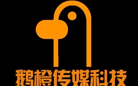 成都鹅橙传媒科技有限公司