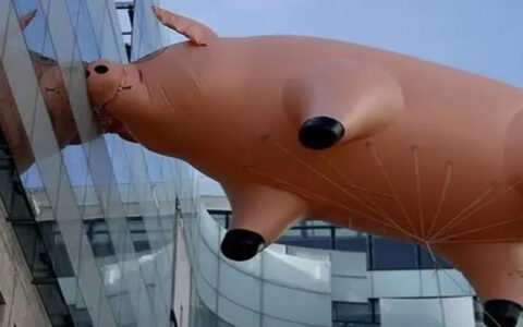 轻松月入数万上十万，弹幕互动游戏到底是风口还是骗局