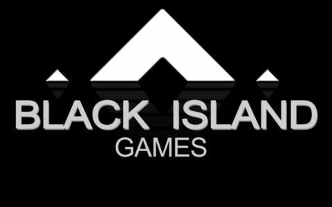 广州黑岛软件科技有限公司