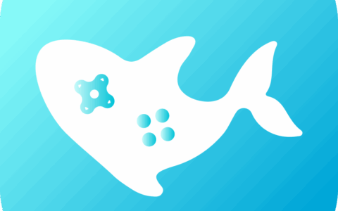 杭州游虚网络科技有限公司