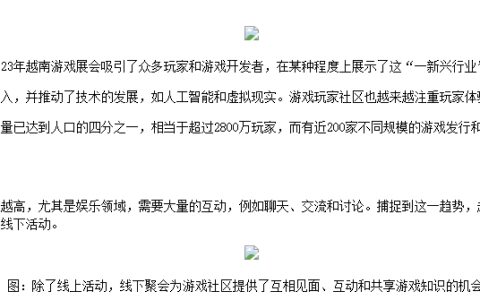 发展社区是越南游戏行业的正确步骤