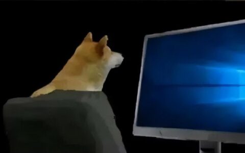 Steam史诗级更新：私密游戏功能上线