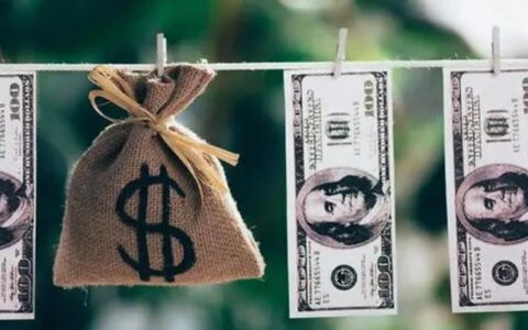 ​5个月狂赚1亿美金，这款爽游在海外杀疯了