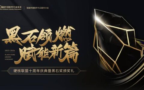 荣光加冕，共筑辉煌，2024黑石奖圆满落幕！