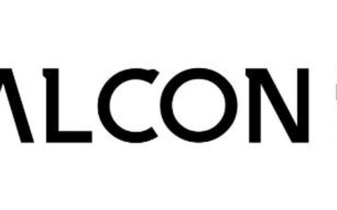 2025 ChinaJoy 全球游戏产业大会嘉宾议程公布！