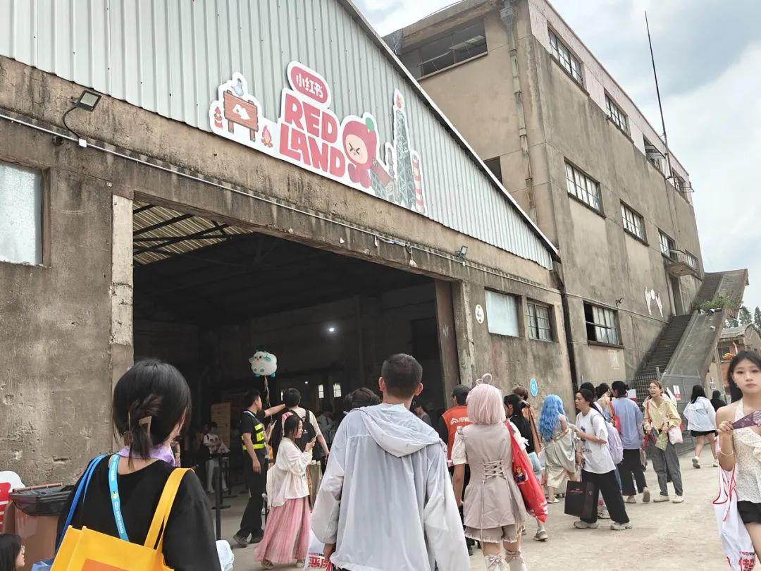 当小红书打造一座二次元痛岛