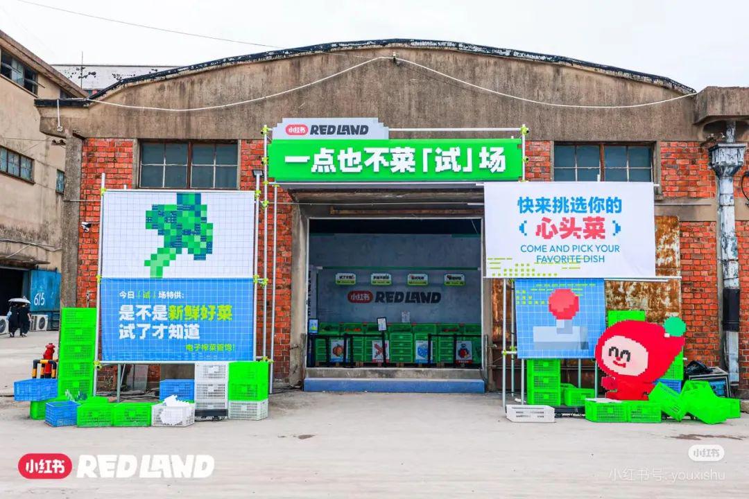 当小红书打造一座二次元痛岛
