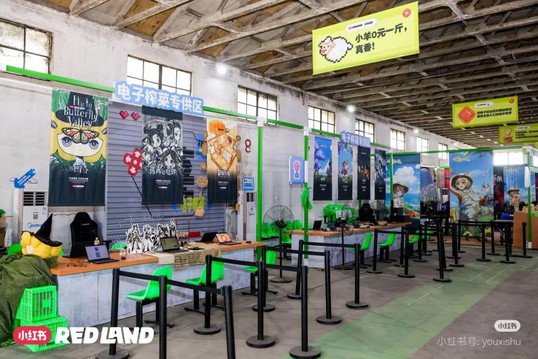 当小红书打造一座二次元痛岛