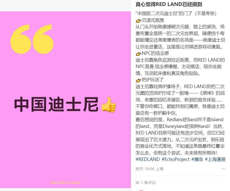 当小红书打造一座二次元痛岛