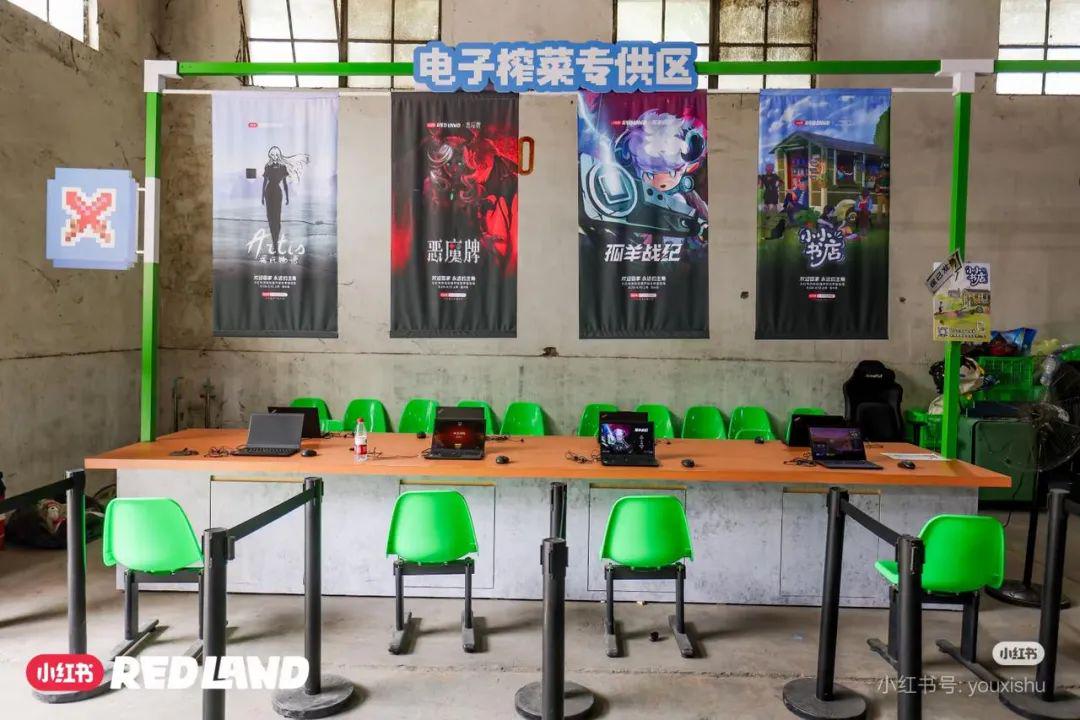 当小红书打造一座二次元痛岛