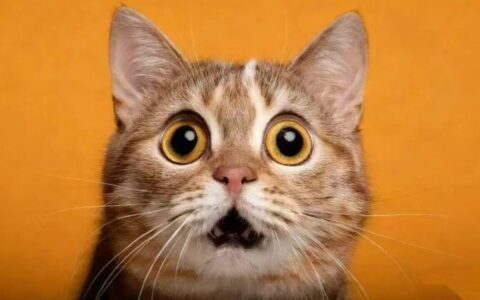 又有游戏成遗珠，我们该抱以何种心态看TGA？