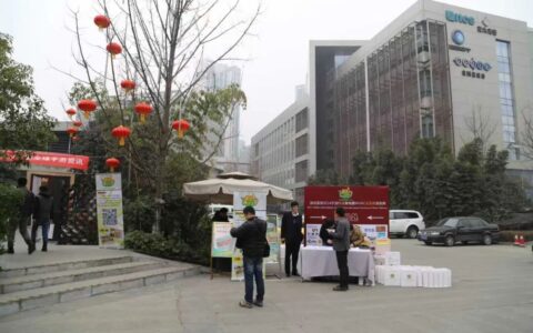 “金茶奖”这十二年