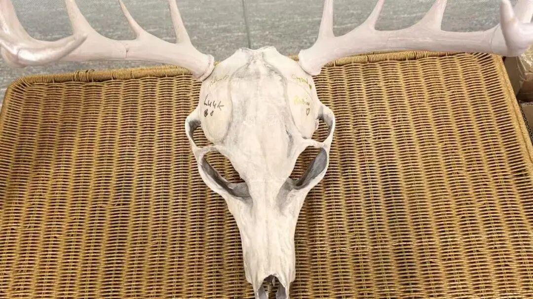 一个独游展和它背后的人