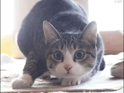 一个被无数厂商敷衍的IP，终将遇见真正懂它的伯乐