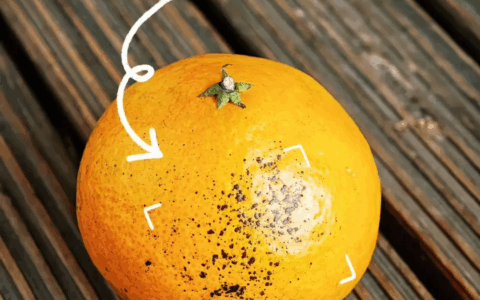 以武会友，以爱助农：《永劫无间》手游玩家的江湖在桔园