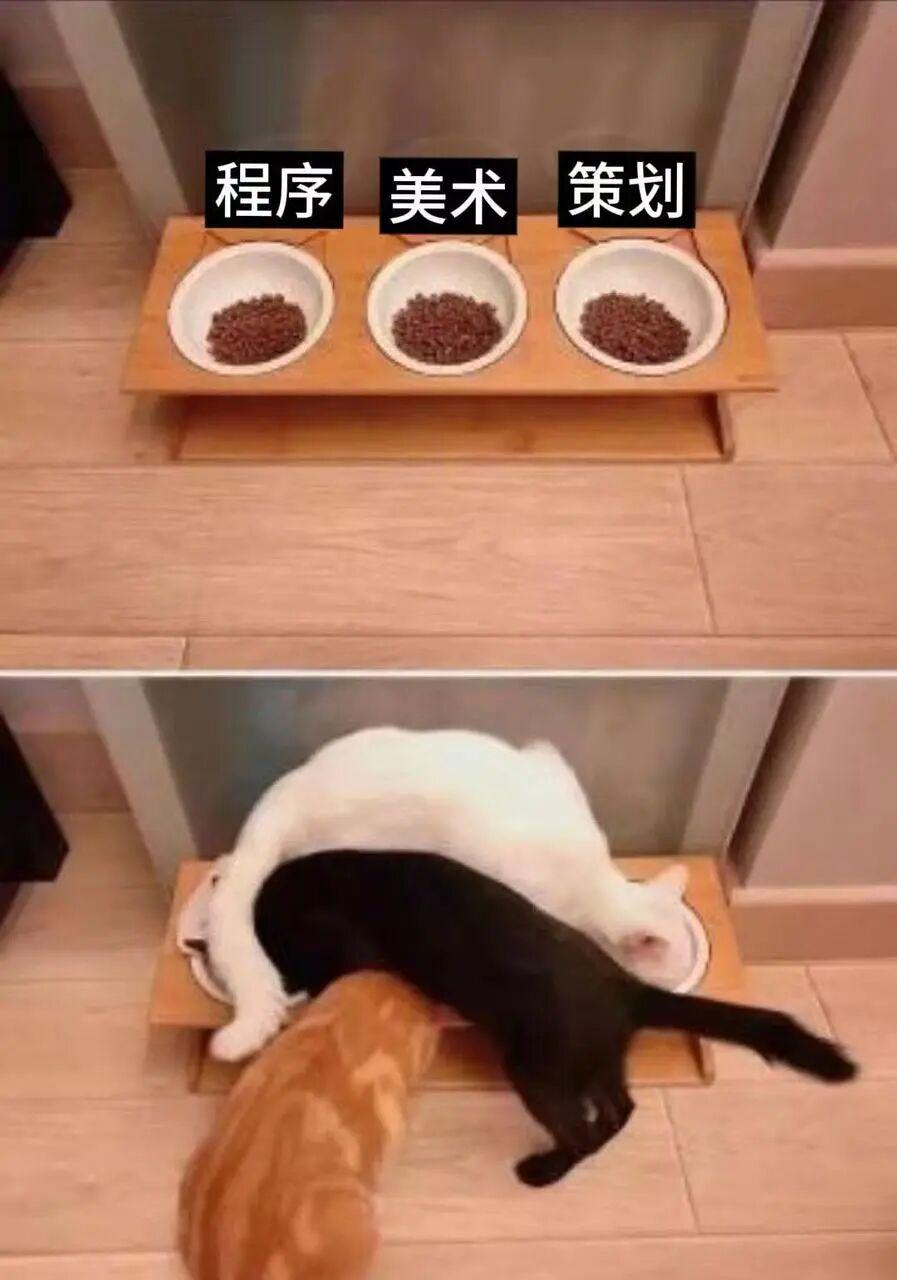 三个毕业生做出首日10万份的游戏?我们和《浣熊推币机》团队聊了聊