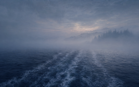 米哈游巨轮转向