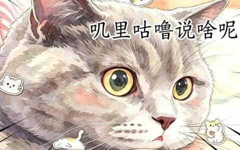 动辄上千字！游戏角色的技能说明，是考我语文阅读吗？