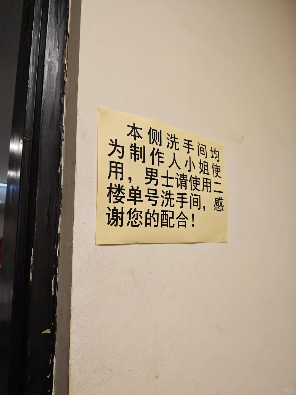 国乙“初恋”走到第9年，凭什么热度依旧？