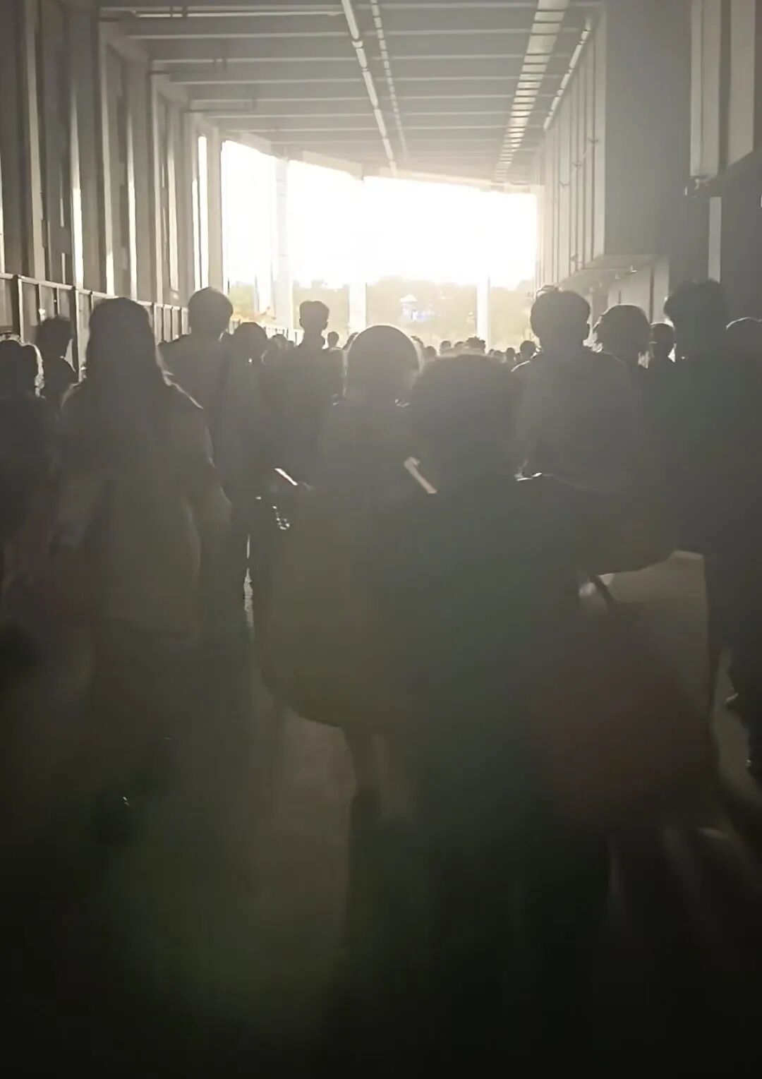 不玩二游、不看日漫,我仍然爱上了BW